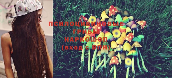 PSILOCYBIN Алексин
