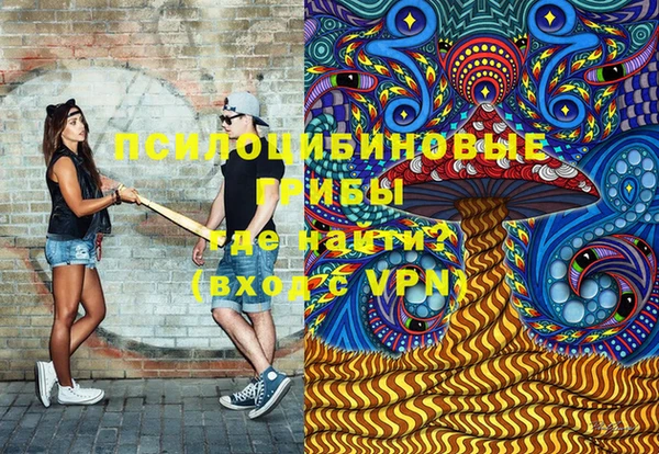 крисы Алексеевка